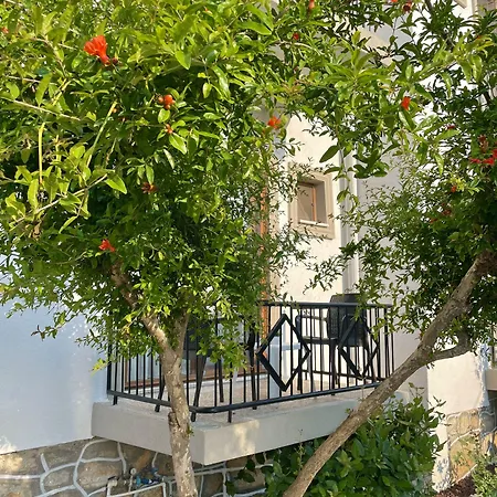 Hotel Cennet