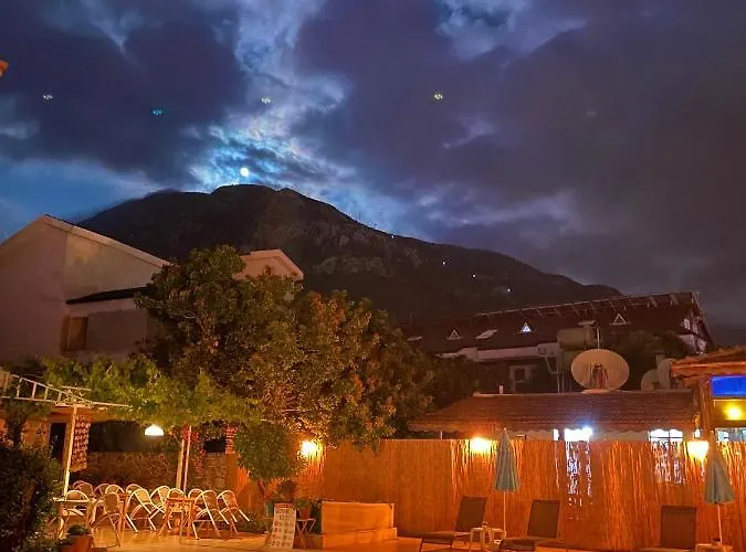 Cennet フェティエ